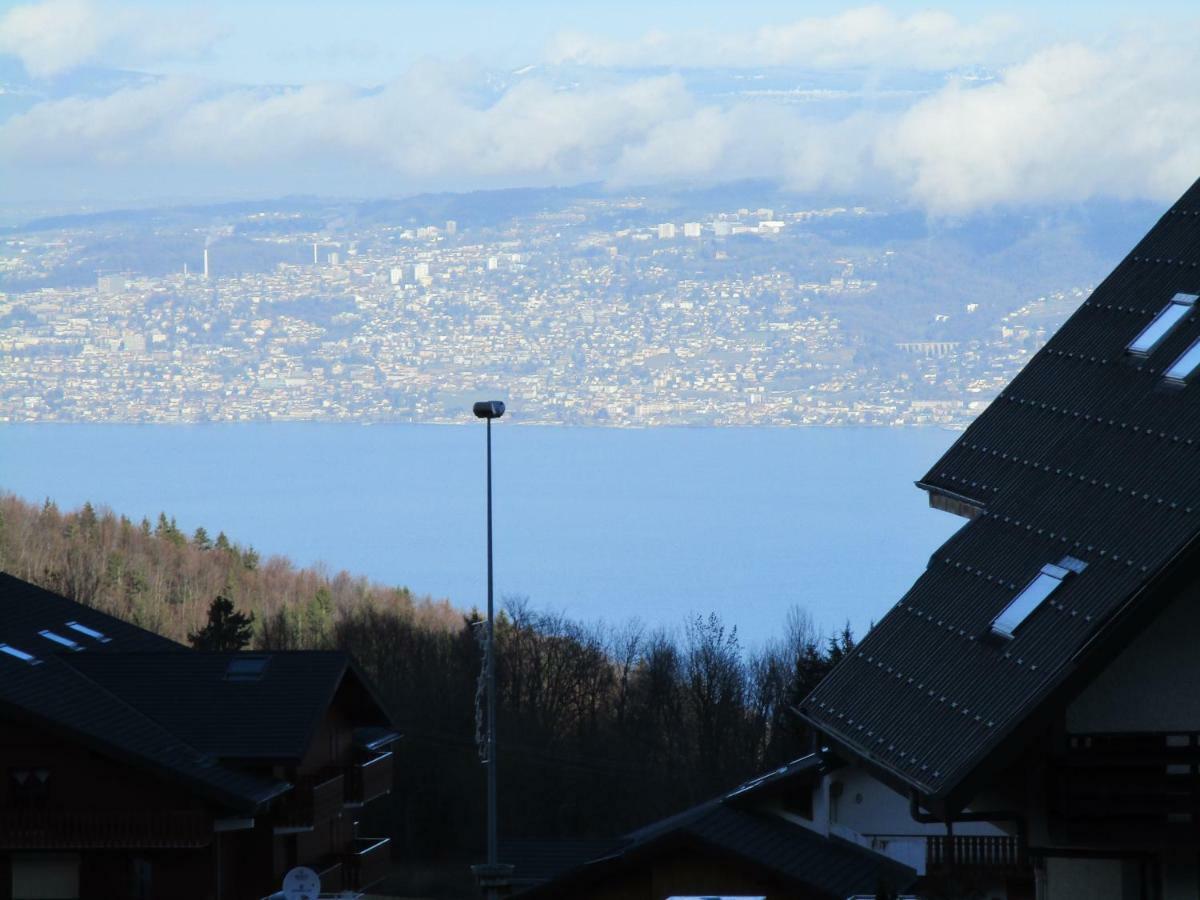 Chalet Le Telemark Thollon-les-Memises 外观 照片