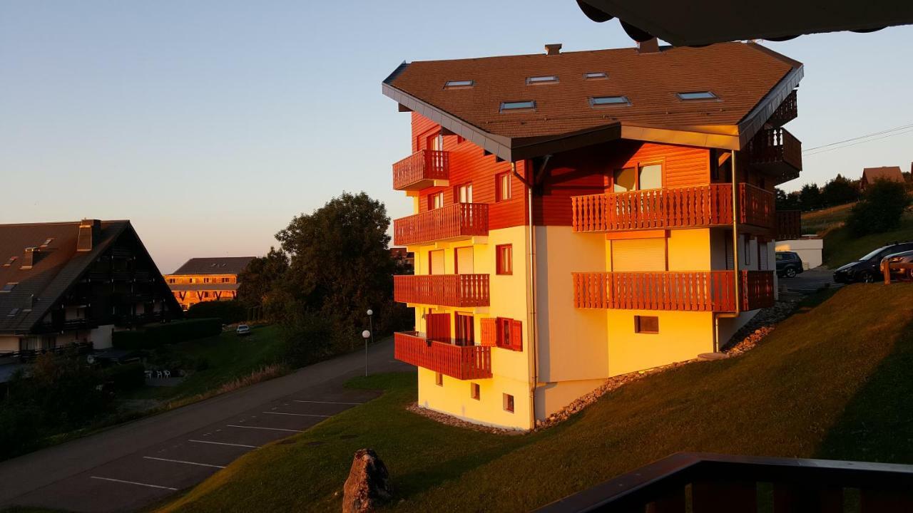 Chalet Le Telemark Thollon-les-Memises 外观 照片