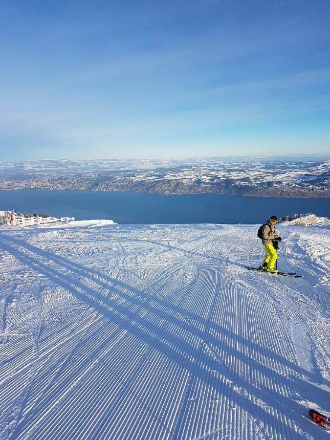 Chalet Le Telemark Thollon-les-Memises 外观 照片